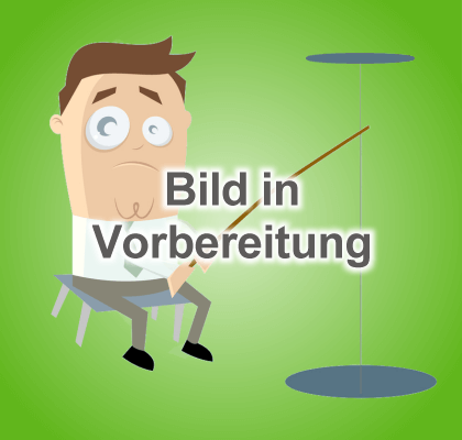 Bild in Vorbereitung
